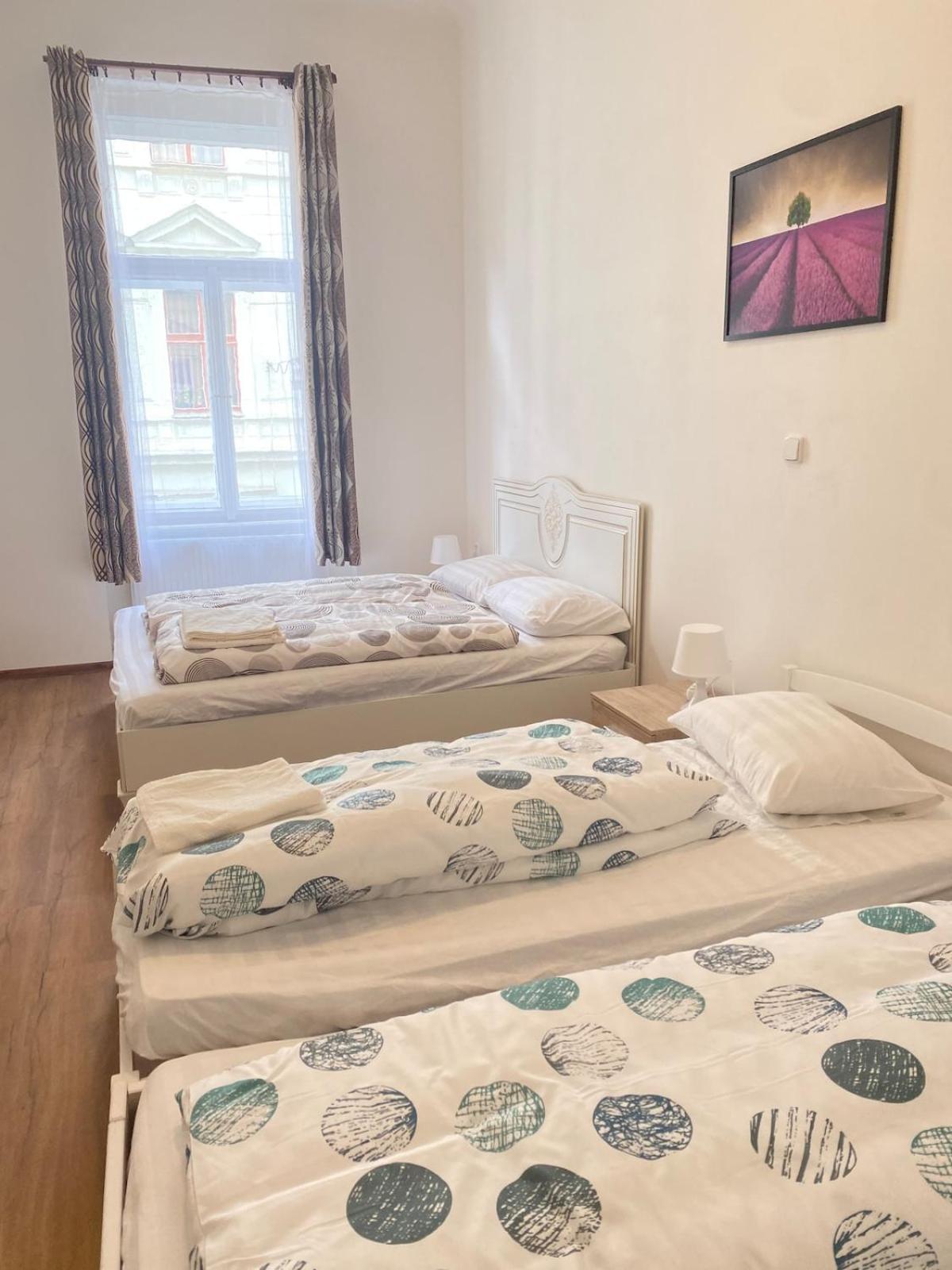 Appartement In The Centre Of Praag